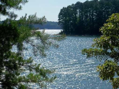Hartwell Lake 1